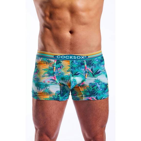 NEW COCKSOX men's boxer brief in florida keys - Picture 1 of 2